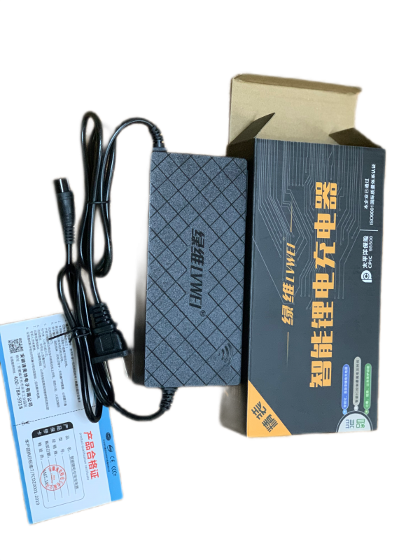 E10 Charger 48v 17 Ah support 54V